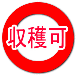 収穫可